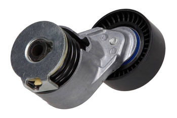 MAXGEAR Napinacz paska wielorowkowego 54-0558 Renault