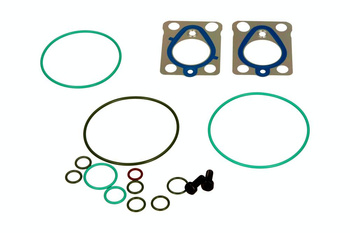 DELPHI ZESTAW NAPRAWCZY POMPY WTRYSKOWEJ DACIA DUSTER 1,5 08-