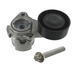 SKF Napinacz Paska Wielorowkowego VKM38250 BMW E91, E92, E93, E60, E61, E62 04-