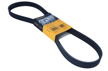 CONTITECH PASEK WIELOROWKOWY 7PK1125 7PK1125