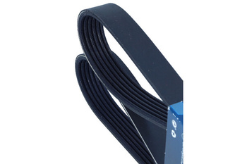 DAYCO PASEK WIELOROWKOWY 6PK1110