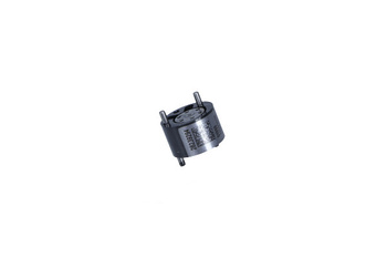 TECHMOT Zaworek Wtryskiwacza Renault MP240/Z 1.5 DCI K9K