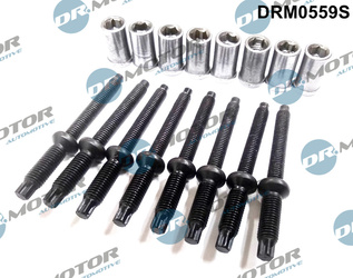 DR. MOTOR Zestaw Śrub Wtryskiwacza CITROEN C4 1.6HDI 03- 16 Elementów DRM0559S