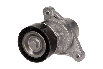 OE PSA Napinacz Paska Wielorowkowego 1613255380 - Citroen / Peugeot Partner 1.6 HDI (14-)