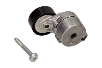 INA Napinacz Paska Wielorowkowego 534061010 Opel/Fiat