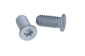 QUICK BRAKE KPL=2SZT!!!! ŚRUBA TARCZY HAM. RENAULT P. ESPACE/LAGUNA/SAFRANE 92-02