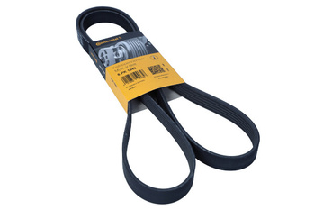 CONTITECH Pasek wielorowkowy 6PK1642 6PK1642