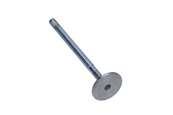 FRECCIA Zawór Ssący FIAT 2.0 20V R4738/SCR