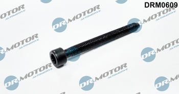 DR. MOTOR Śruba pompowtryskiwacza DRM0609 VW (M6X64)