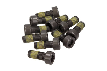 SACHS ZESTAW ŚRUB KOŁA ZAMACHOWEGO VOLVO S60/S80/V60/V70/XC60/XC70 2,4 08-