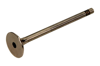 FRECCIA Zawór Wydechowy R6014/BM VW 1.4/1.6 16V (97-)