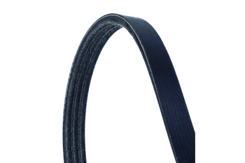 DAYCO PASEK WIELOROWKOWY 3PK775EE