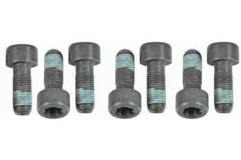 SACHS Zestaw Śrub Koła Zamachowego 1874000054 RENAULT