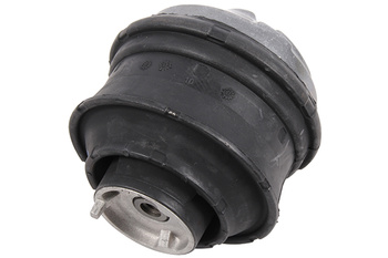 NK Poduszka silnika Mercedes CLK, Klasa C, CLC 59733016 12.00-06.11