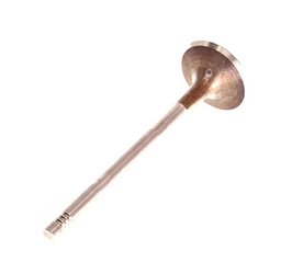 TRW Zawór ssący TRW331162 VW 1.8/2.0/2.5/4.0 TFSI 16V/20V/32V