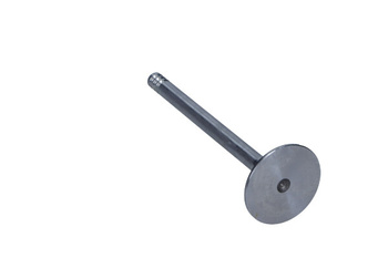 FRECCIA Zawór ssący R4886/S VW 1.0 8V