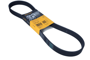 CONTITECH Pasek wielorowkowy 7PK1035 7PK1035