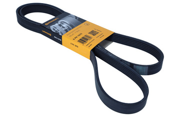 CONTITECH Pasek wielorowkowy 6PK1670