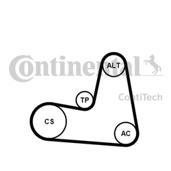CONTITECH Zestaw paska wielorowkowego RENAULT 1,9DCI 7PK1125K1