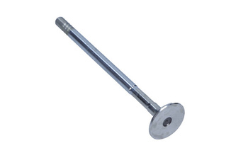 FRECCIA Zawór Wydechowy R6509/RCR, do Fiat 2,2 JTD 4HV.