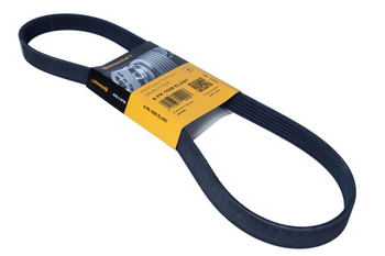 CONTITECH Pasek Wielorowkowy 6PK1029ELAST
