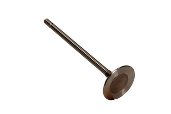 FRECCIA Zawór Ssący R6138/S Opel 2.0 16V