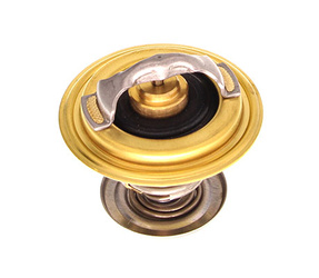 OE VAG TERMOSTAT VW 87C