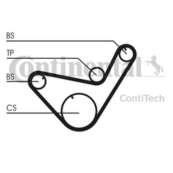 CONTITECH Pasek balansu CT714 MITSUBISHI 2,5D