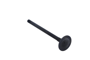 FRECCIA Zawór Ssący Daihatsu 1.3/1.6 16V SNT