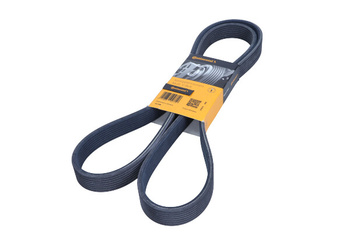 CONTITECH Pasek wielorowkowy 8DPK1833