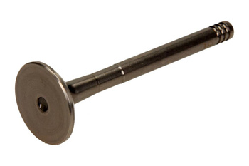 AMP Zawór Wydechowy PVWG028 1.9TDI/2.5TDI 8V/10V