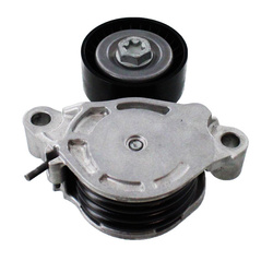 SKF Napinacz Paska Wielorowkowego VKM38872 do Mini / BMW X1
