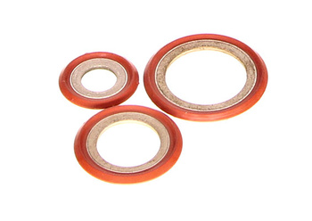 OE Ford 5181037 Zestaw Uszczelek Klimatyzacji do Ford Fiesta (12-)