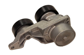 INA Napinacz Paska Wielorowkowego 534031910 VOLVO