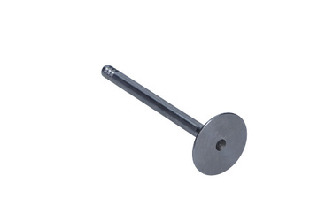 FRECCIA Zawór ssący R4964/S VW 1.0 8V