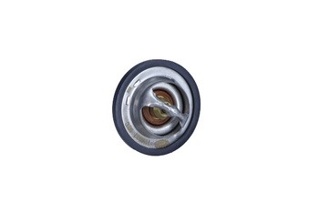 MAGNETI MARELLI TE0032 Termostat Ford 82C