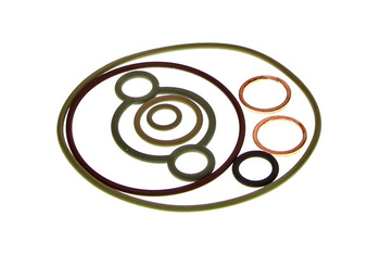 BOSCH ZESTAW NAPRAWCZY POMPY WTRYSKOWEJ F00N201975