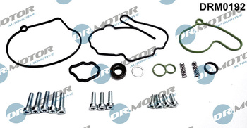 DR. MOTOR Zestaw Naprawczy Pompy Próżniowej DRM0192 2.0 TDI Duży