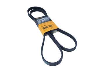 CONTITECH Pasek wielorowkowy 5PK1885