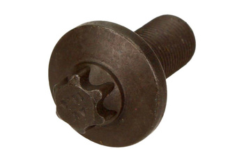 OE BMW ŚRUBA ROZRZĄDU 13527800395 BMW 5 (E60, F07) 2,0 D