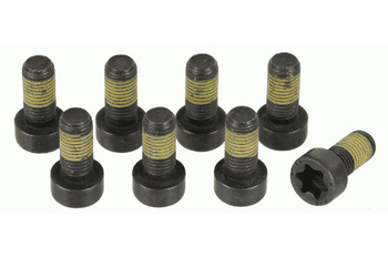 SACHS Zestaw śrub koła zamachowego BMW 1874 000 044