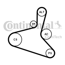 CONTITECH Zestaw paska wielorowkowego 6DPK1195K2 do VW 1.9 TDI
