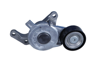 DAYCO Napinacz paska wielorowkowego APV3860 do CITROEN 2.0 HDI/BLUEHDI