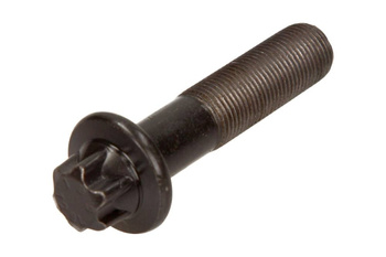 FIAT (OE) Śruba Koła Wału Korbowego 55187537 Fiat 1.3 JTD / Opel / Suzuki