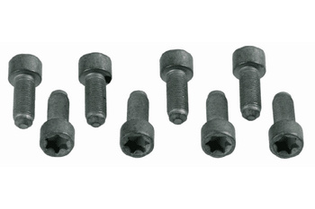 SACHS Zestaw śrub koła zamachowego MERCEDES-BENZ 1874 000 031