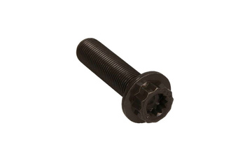 OE VAG Śruba koła wału korbowego VW WHT004573