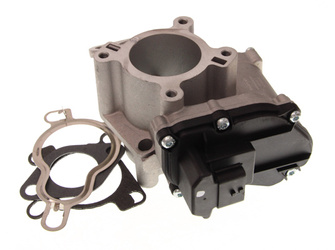 NRF Zawór EGR RENAULT 2.0 dCi NRF48663