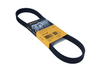 CONTITECH Pasek Wielorowkowy 6PK800 6PK800