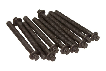 VICTOR REINZ 14-32154-01 Śruby Głowicy RENAULT 1,8 16V