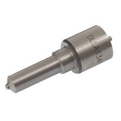 FIRDS Rozpylacz MAN, RENAULT DLLA134P180